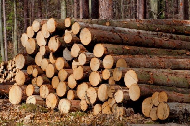 Pulpwood and wood fuel prices in the US South