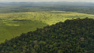International Paper and The Nature Conservancy expand work to scale natural climate solutions in North America