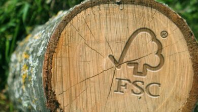 certificacao-florestal-810x420