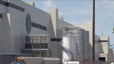 New paper mill opens in Wisconsin