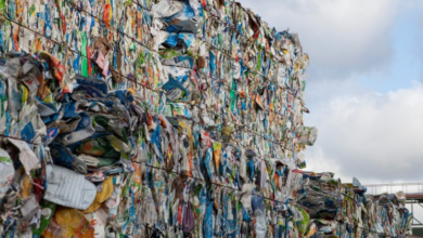Essity invests in improved recycling of food and beverage cartons in France