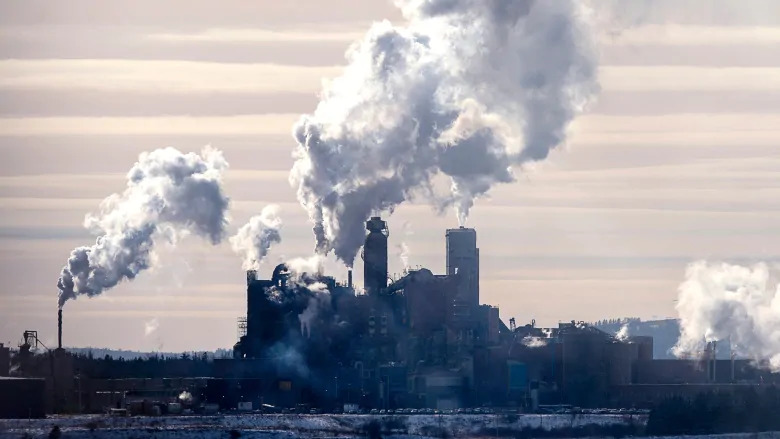 Members of N.S. forest industry form lobby group to reopen Northern Pulp mil